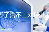 弓形子宮不止對胎兒有危害！這4種影響都不能忽視