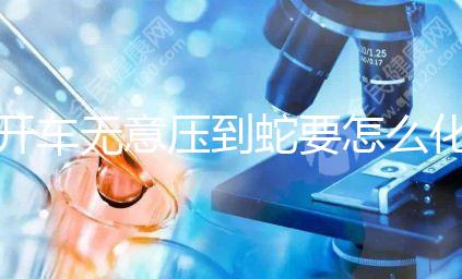 開車無意壓到蛇要怎么化解進(jìn)來瞧，要不要報警一目了然