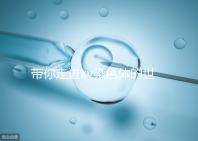 帶你走進xy染色體的世界,生男生女其實就這么回事