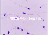 廣州生殖中心排名前十的醫(yī)院列舉,權(quán)威醫(yī)療機(jī)構(gòu)都在這