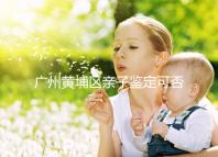 廣州黃埔區(qū)親子鑒定可否直接上戶口，看完2024政策就明了