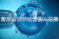 青海省供卵試管嬰兒花費明細(xì)表一覽,一次成功助孕費用最低