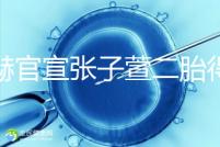 陳赫官宣張子萱二胎得女,首曬全家福長相酷似媽媽