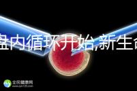 胎盤內(nèi)循環(huán)開始,新生命的誕生,受精卵著床過(guò)程揭曉