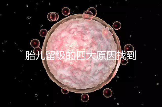 胎兒留級的四大原因找到了!多半和媽媽太懶不運動有關(guān)系