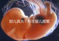 膽兒真大！新生嬰兒頻繁打嗝不要游泳以免嗆水