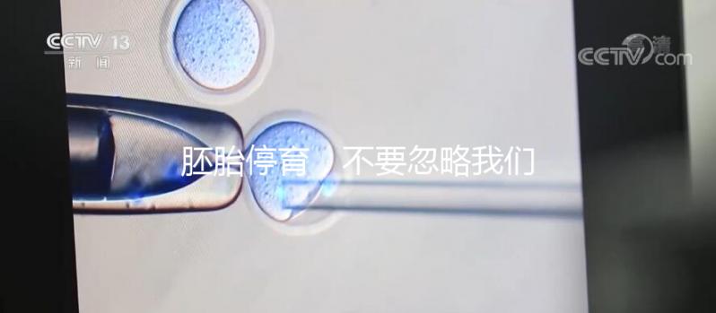 胚胎停育，不要忽略我們身邊的“隱形殺手”