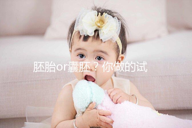 胚胎or囊胚？你做的試管嬰兒，移植的是第幾天的胚胎？