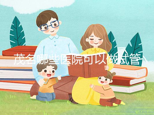 茂名哪些醫(yī)院可以做試管嬰兒？擔心成功率低可以選擇這里