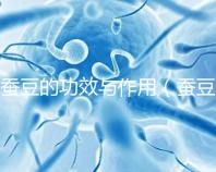 蠶豆的功效與作用（蠶豆的功效與作用及營養(yǎng)價(jià)值）