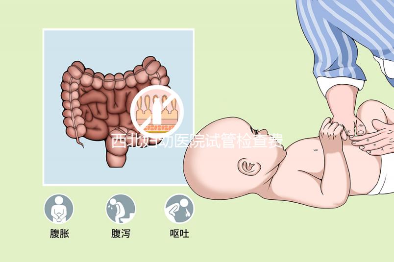西北婦幼醫院試管檢查費用流出！做完記得來這領報告單