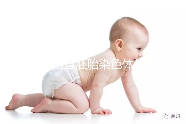 西安檢查胚胎染色體價格不一,提前了解地點(diǎn)更方便