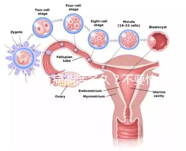 血友病能活多久?不要怕!注意這些同常人無異