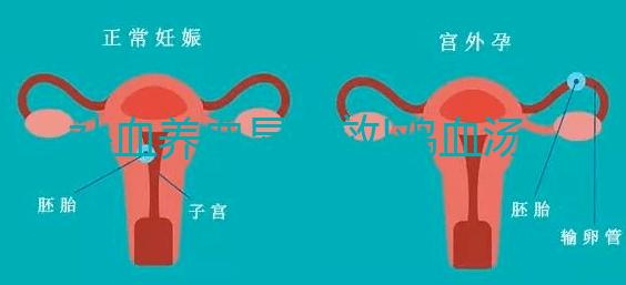 補血養血顯奇效!雞血湯常見的5大功效一覽