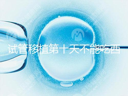 試管移植第十天不能吃西瓜!影響胚胎發(fā)育可不是玩笑話