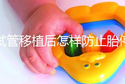 試管移植后怎樣防止胎停育？這3個靠譜方案請收藏