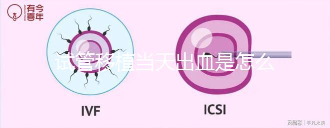 試管移植當天出血是怎么回事？收好你的“玻璃心”別太擔心