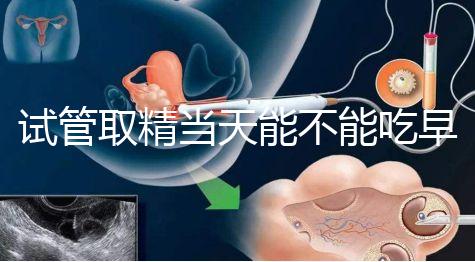 試管取精當(dāng)天能不能吃早餐喝水的答案來(lái)咯咯，好不好一看就知道了？