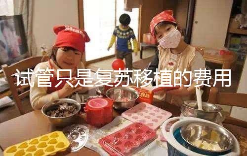 試管只是復蘇移植的費用并不高，看這就知道大概多少錢