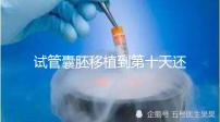 試管囊胚移植到第十天還是白板別擔心,放松心態(tài)等逆襲吧!