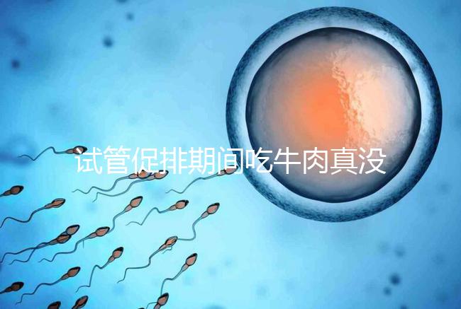 試管促排期間吃牛肉真沒影響，關鍵在于是火鍋還是牛肉干