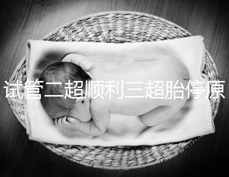 試管二超順利三超胎停原因分析，多半和保胎藥停早了有關