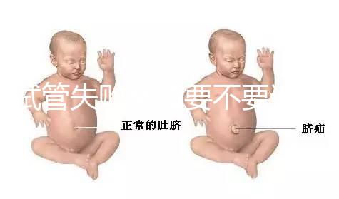 試管失敗離婚要不要退彩禮揭秘，三金怎么處理？