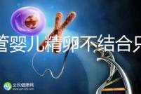 試管嬰兒精卵不結合只是基因問題?這幾大原因告知真相