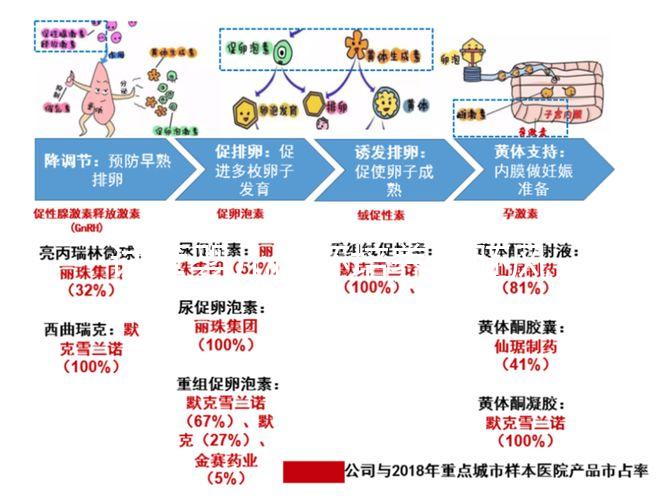 試管嬰兒優胚培養囊胚風險特別大,逃不掉這3大原因