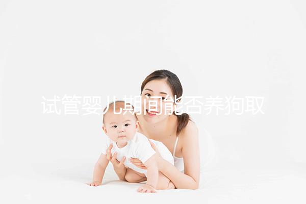 試管嬰兒期間能否養狗取決于情況，醫生：確保安全是前提