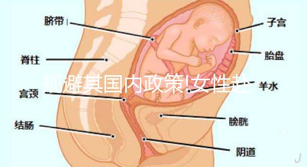 規(guī)避其國(guó)內(nèi)政策!女性赴俄羅斯冷凍卵子掀“熱潮”