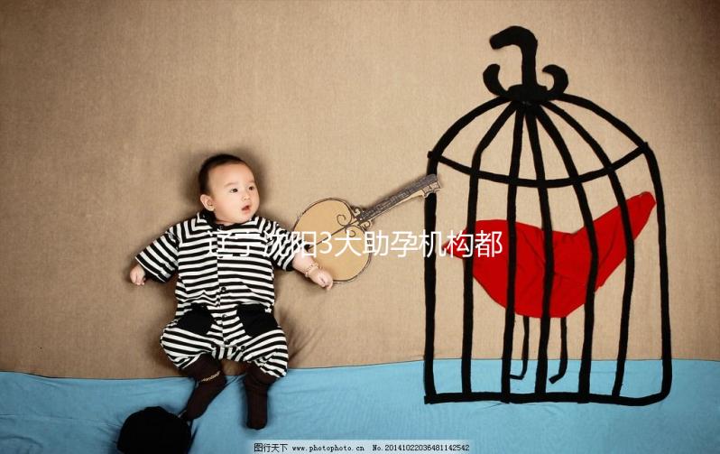 遼寧沈陽3大助孕機構都在這，來看看你知道幾家