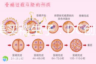 赴美買精生子:DC創(chuàng)始人葉海洋怒砸50萬生下五國混血兒