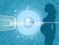 風疹病毒igg抗體是什么,其實這就是基本懷孕條件
