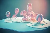 高麗參的功效與作用(高麗參的功效與作用適合哪些人)