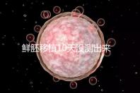鮮胚移植10天沒測出來怎么辦?從白板到粉印還有希望