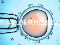 黃體期促排來月經(jīng)別擔心!過來人經(jīng)驗告訴你怎么辦