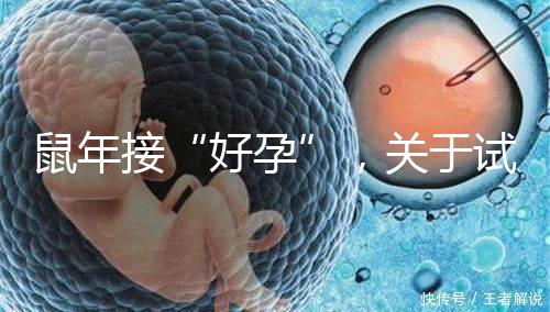 鼠年接“好孕”，關于試管嬰兒取卵的那些事兒！