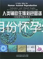 40歲幾月份懷孕生男孩？你想要的答案在生男生女清宮圖