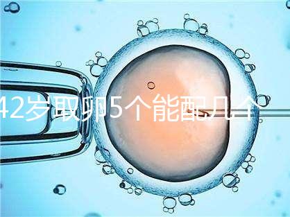 42歲取卵5個能配幾個胚胎難說,只有2個許是技術差導致