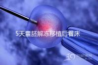 5天囊胚解凍移植后著床or游離看這，驗孕時間可別太早