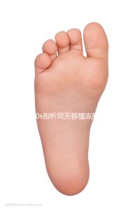 60s剖析同天移植凍胚為什么別人驗(yàn)孕棒兩道杠明顯，趕快get