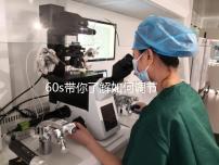 60s帶你了解如何調節凍胚移植前內膜厚卵泡小,快速收集