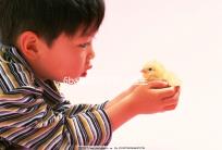 6ba囊胚好不好?醫(yī)生:調理好身體才是提升成功率的基礎