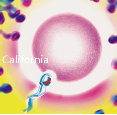 California Cryobank，加州精子銀行實用指南