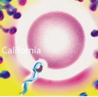 California Cryobank,加州精子銀行實(shí)用指南