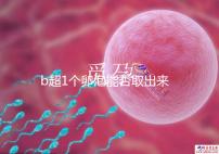 b超1個卵泡能否取出來分人，質(zhì)量好或有一定受孕幾率