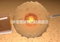 1歲寶寶接種乙腦疫苗注意事項須知，不明確這4點副作用大