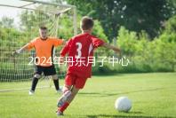 2024年丹東月子中心收費標準,能否接生問題整理,想要制作的戳