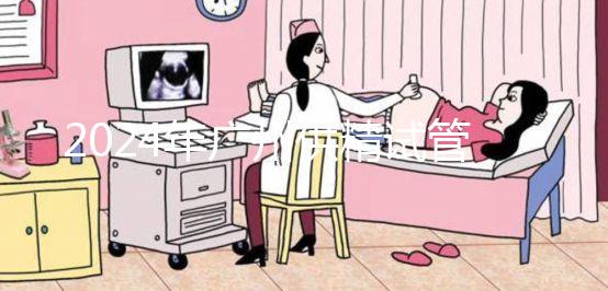 2024年廣州供精試管嬰兒最新價格表，必須符合要求